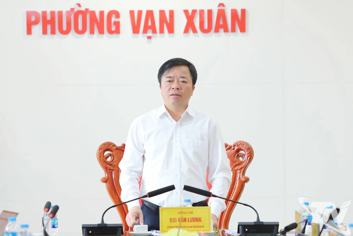 Đồng chí Bùi Văn Lương, Ủy viên Ban Thường vụ Tỉnh ủy, Phó Chủ tịch Thường trực UBND tỉnh kết luận cuộc họp.