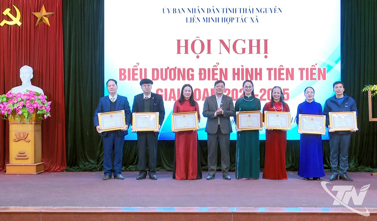 Chủ tịch UBND tỉnh tặng Bằng khen cho 9 tập thể, 10 cá nhân có thành tích xuất sắc trong phát triển kinh tế tập thể năm 2024 và phong trào thi đua yêu nước giai đoạn 2020-2025