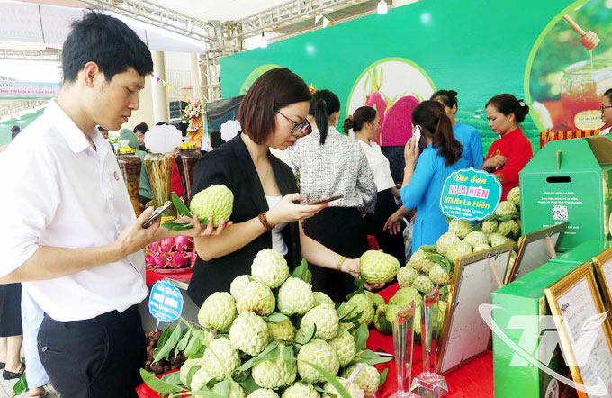 Nhiều sản phẩm n&ocirc;ng nghiệp chủ lực tr&ecirc;n địa b&agrave;n tỉnh được d&aacute;n tem để người ti&ecirc;u d&ugrave;ng sử dụng điện thoại th&ocirc;ng minh truy xuất nguồn gốc.