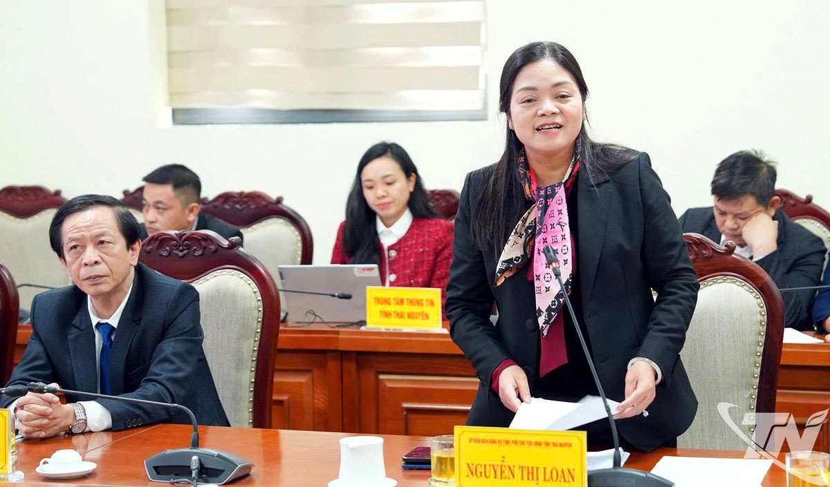 Đồng chí Phó Chủ tịch tỉnh Thái Nguyên Nguyễn Thị Loan phát biểu tại buổi làm việc.