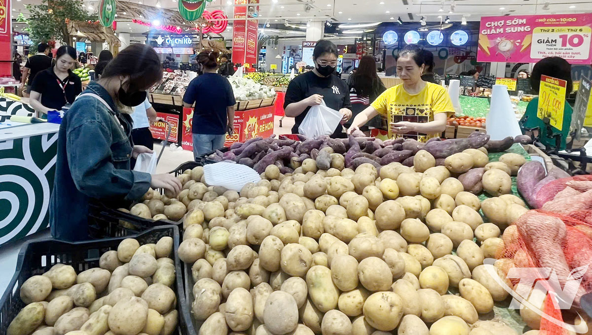 Nguồn hàng rau củ quả tại Siêu thị Go! nhập từ 2 đến 3 tấn/ngày, tăng gấp 5 lần ngày thường.