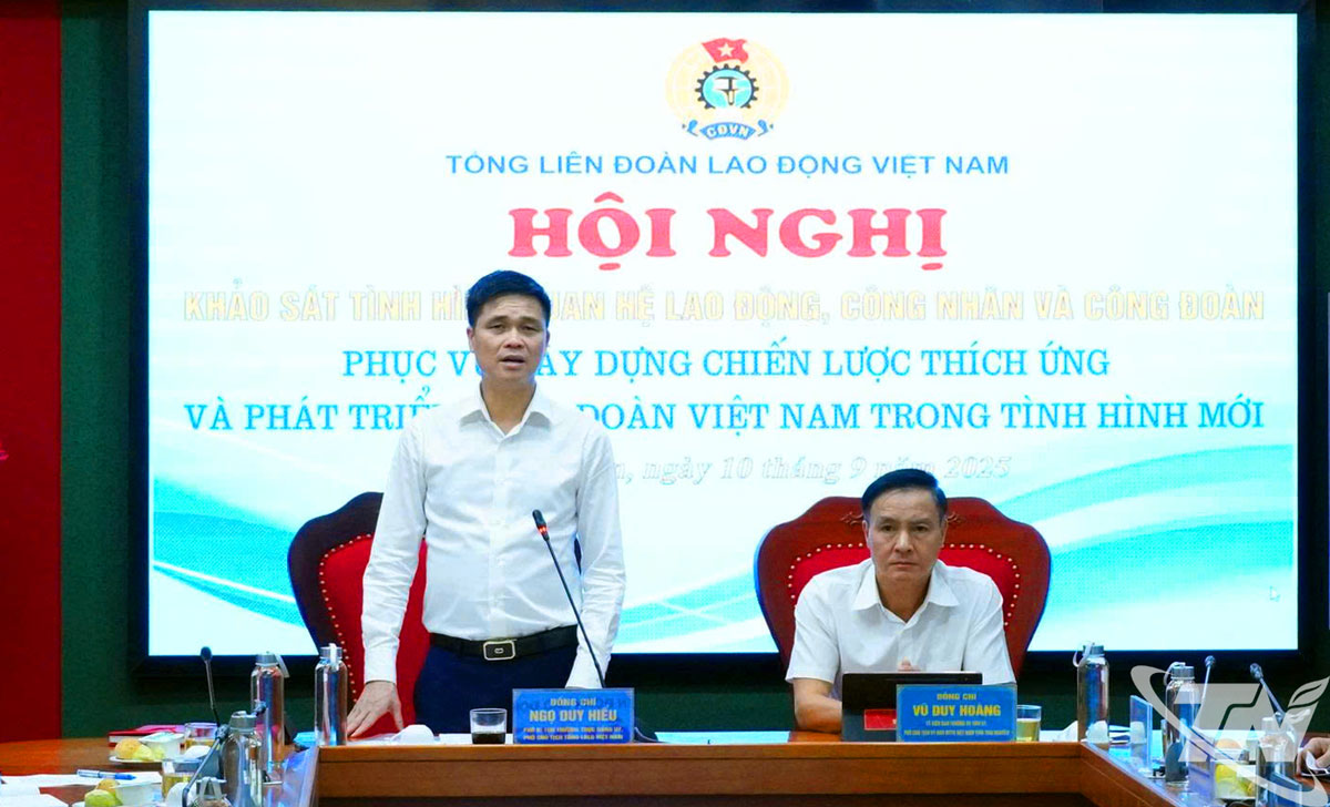 Đồng chí Ngọ Duy Hiểu, Phó Chủ tịch Tổng LĐLĐ Việt Nam phát biểu tại buổi làm việc.