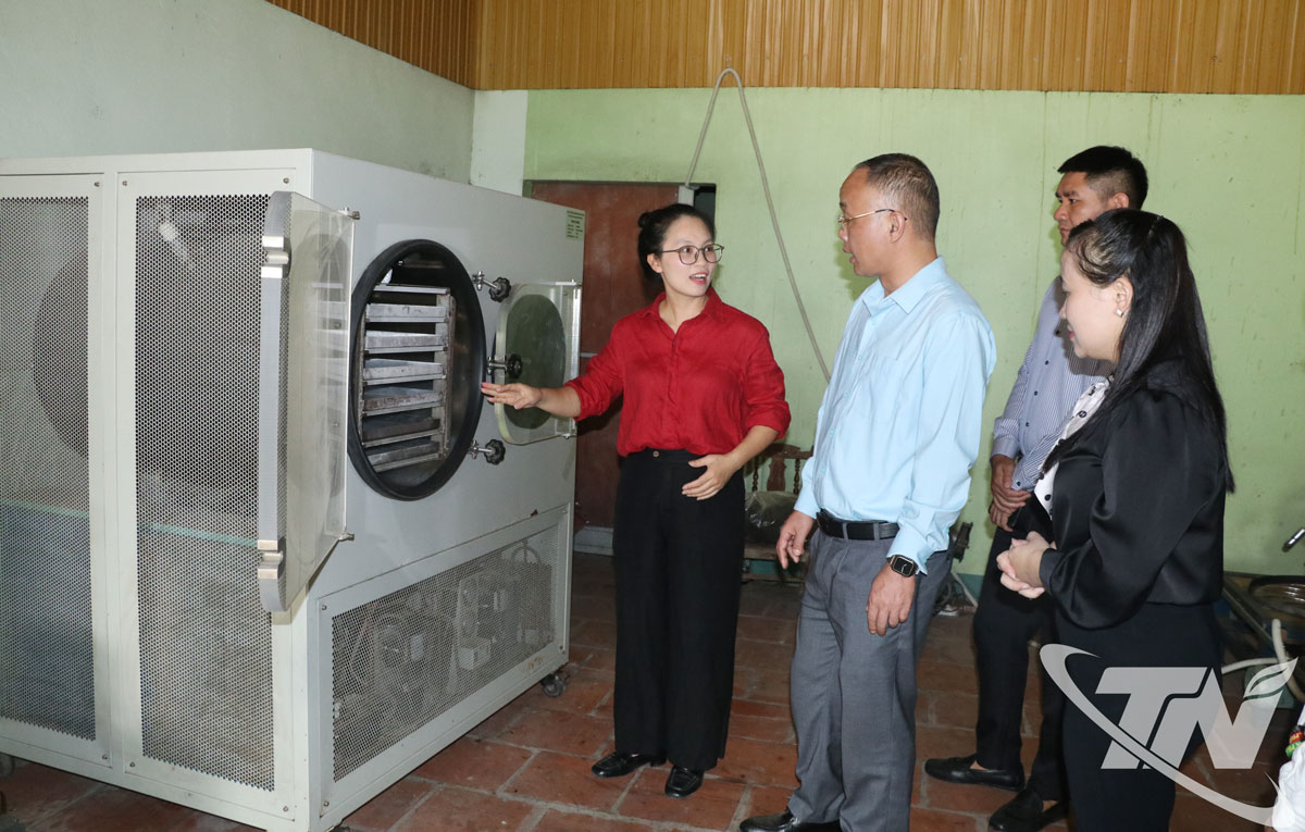 HTX trà Sơn Dung, xã Đại Phúc, được hỗ trợ 160 triệu đồng từ nguồn kinh phí khuyến công để đầu tư 1 máy sấy thăng hoa.