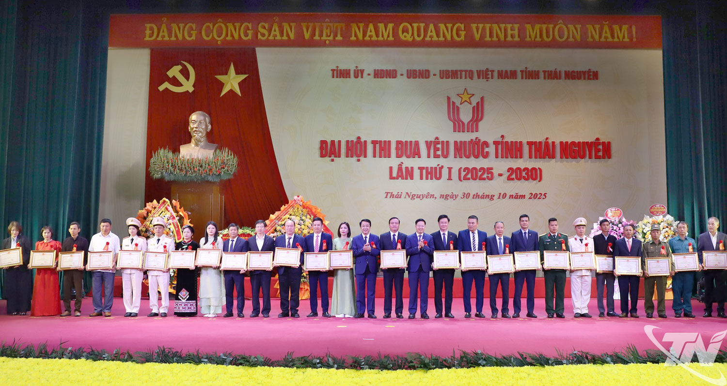 Các đồng chí Thường trực Tỉnh ủy trao Bằng khen của Thủ tướng Chính phủ cho các tập thể, cá nhân.