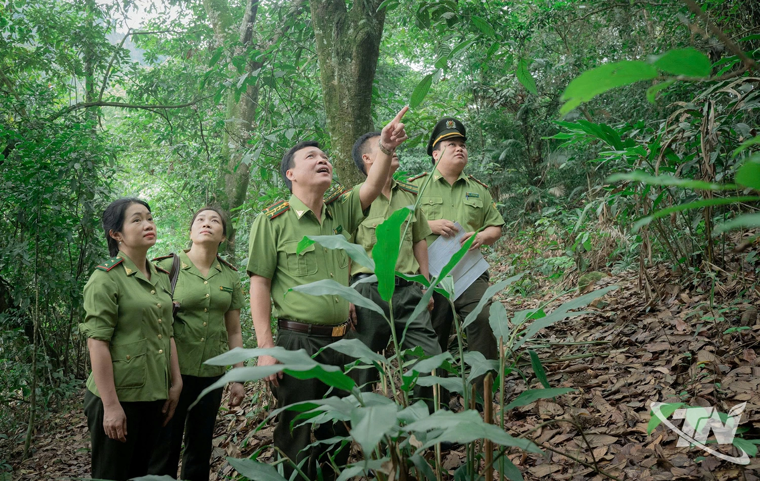 Lực lượng kiểm lâm địa bàn hướng dẫn người dân chăm sóc rừng trồng.