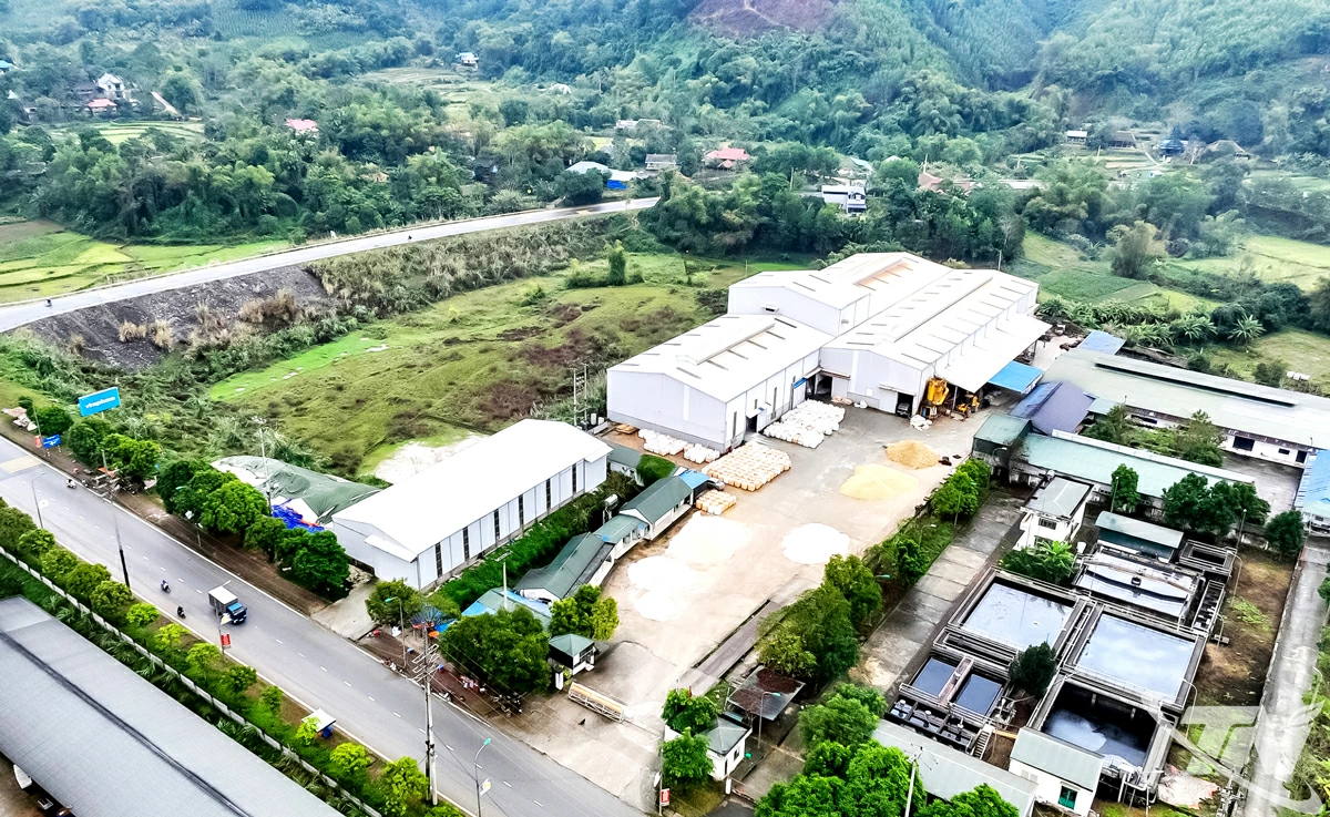 Công ty TNHH Kim An An (địa chỉ tại Khu công nghiệp Thanh Bình, tỉnh Thái Nguyên) là một trong những doanh nghiệp tiên phong trong việc khai thác, cung cấp sản phẩm đá thạch anh tự nhiên tại Việt Nam. Ảnh: T.L