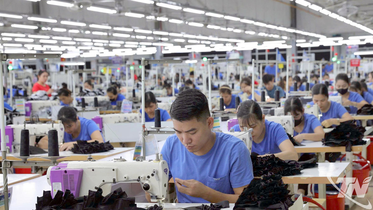 Từ đầu năm đến nay, tổng doanh thu của Công ty Cổ phần Đầu tư & Thương mại TNG đạt 7.595 tỷ đồng, tăng trưởng 11% so với cùng kỳ