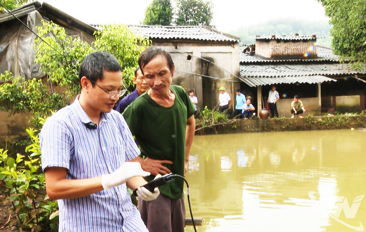 Giảng viên Trường đại học Nông Lâm - Đại học Thái Nguyên hỗ trợ nông dân kiểm tra chỉ số môi trường nước ao nuôi thủy sản sau lũ lụt.