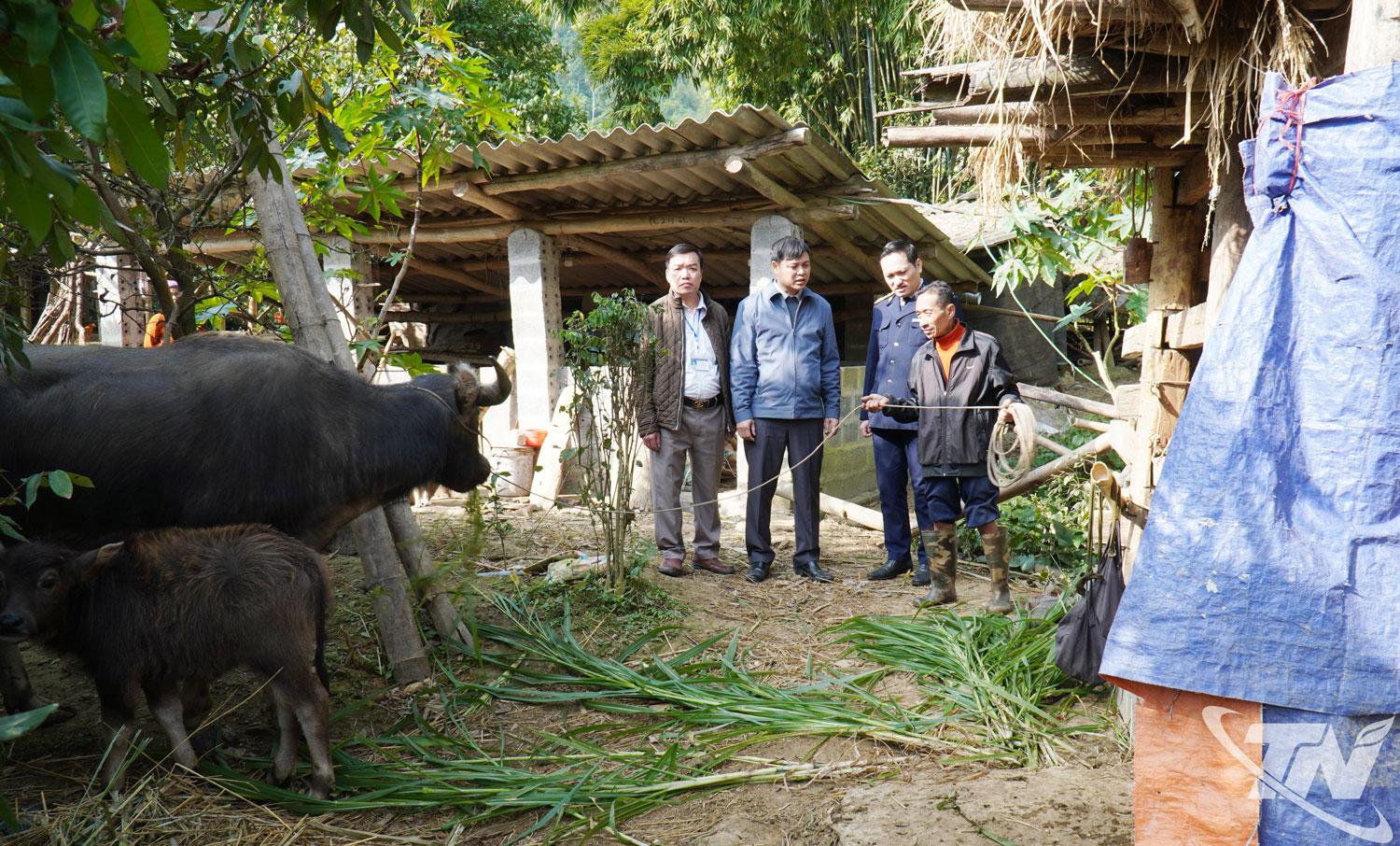 Sở Nông nghiệp và Môi trường, Chi cục Chăn nuôi và Thú y và Thủy sản tỉnh Thái Nguyên hướng dẫn thực hiện phòng, chống đói, rét và dịch bệnh trên đàn vật nuôi cho nông dân.