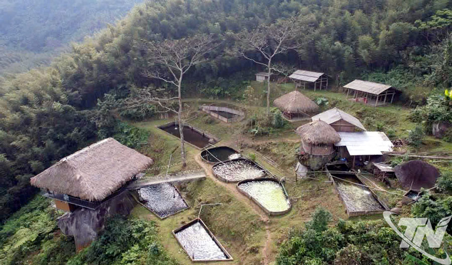 Trang trại nuôi cá tầm, cá hồi của anh Đặng Hành Dũng, ở thôn Phiêng Phàng, xã Thượng Minh.