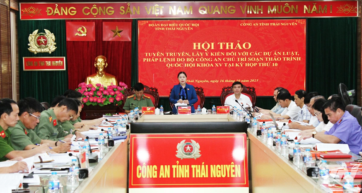 đồng chí Đoàn Thị Hảo, Phó Trưởng đoàn chuyên trách, phụ trách Đoàn đại biểu Quốc hội tỉnh phát biểu tại Hội thảo.