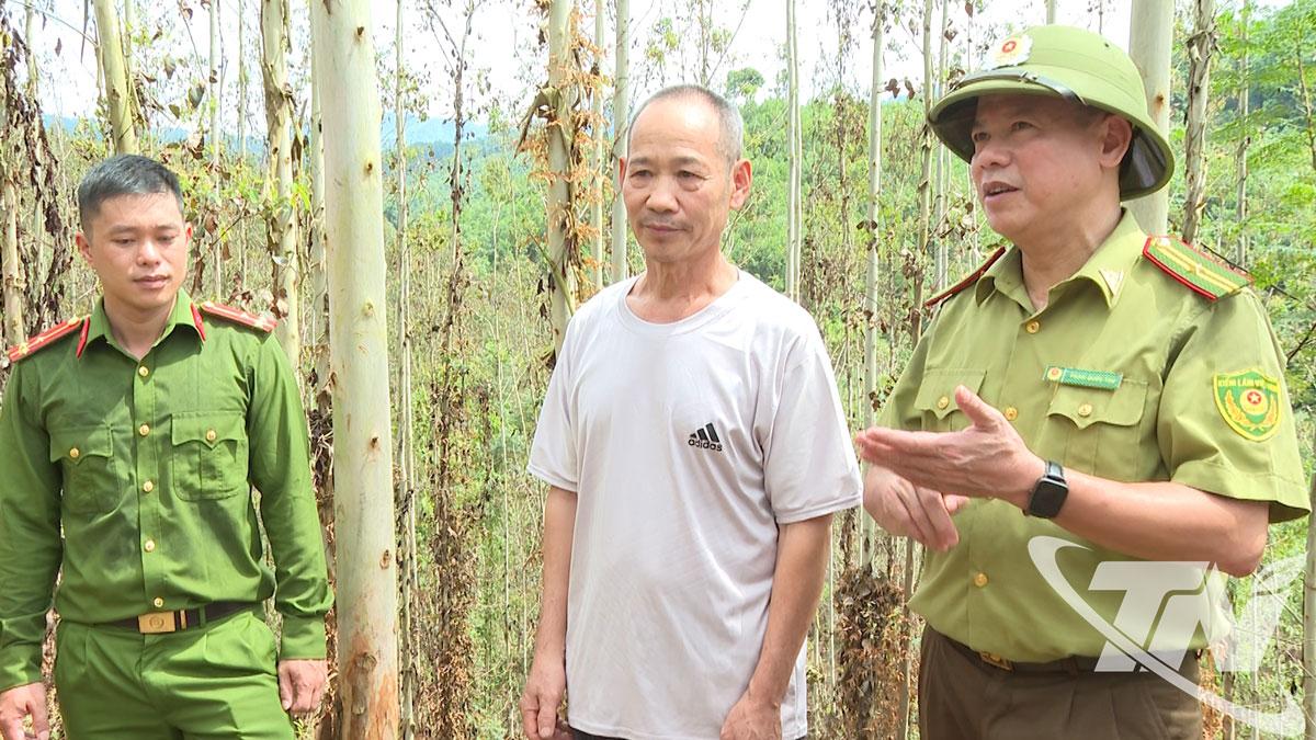 Ông Nông Văn Nhược (đứng giữa), xóm Bản Chương được cán bộ Hạt Kiểm lâm số 14 hướng dẫn xử lý thực bì sau khi khai thác gỗ.