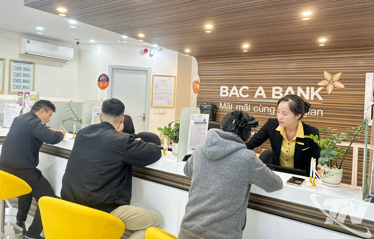 Lượng khách đến giao dịch tại Ngân hàng Thương mại cổ phần Bắc Á Chi nhánh Thái Nguyên có xu hướng tăng nhẹ từ trung tuần tháng 11-2025.