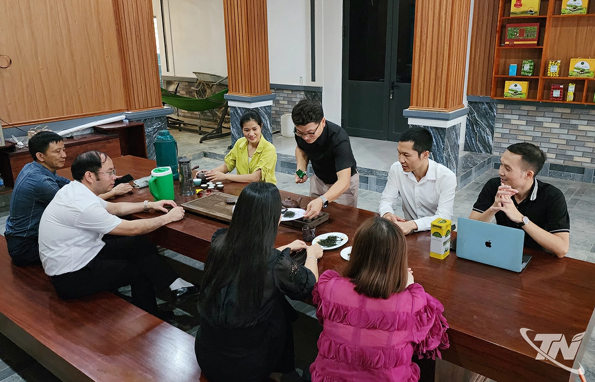 Du khách tham qua, trải nghiệm quy trình sản xuất và các sản phẩm của HTX Tâm Trà Việt.