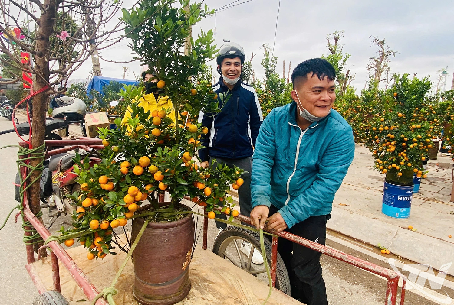 Khách hàng chọn mua hoa đào, quất tại khu vực Quảng trường Vạn Xuân (phường Vạn Xuân).