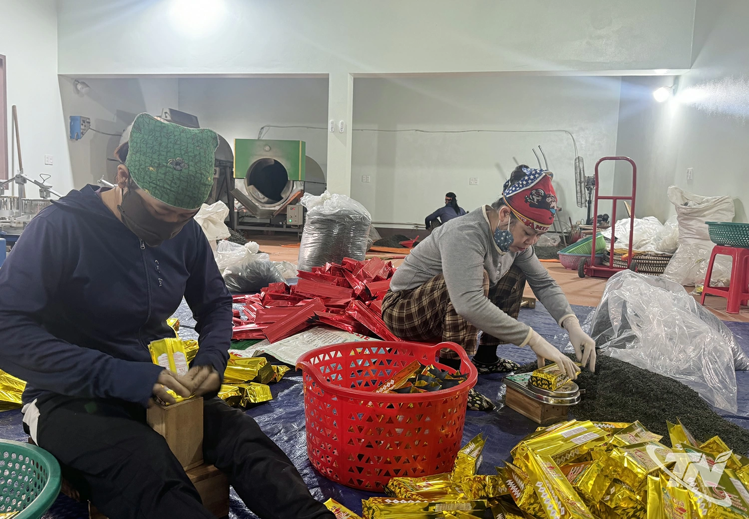 Gia đ&igrave;nh chị Mai Thị Hoa kh&ocirc;ng chỉ l&agrave;m gi&agrave;u cho ri&ecirc;ng m&igrave;nh m&agrave; c&ograve;n tạo việc l&agrave;m cho nhiều lao động địa phương.