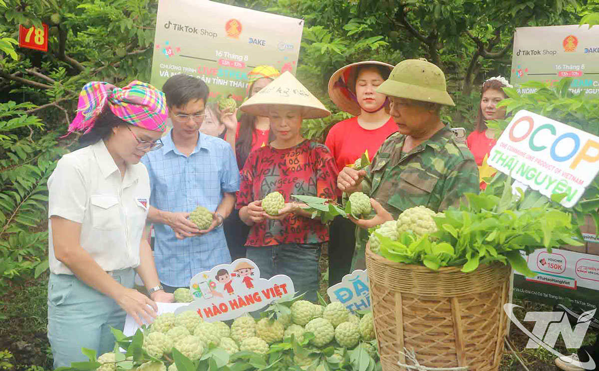 Thời gian qua, tỉnh triển khai nhiều hoạt động hỗ trợ người dân quảng bá, tiêu thụ nông sản trên môi trường mạng.