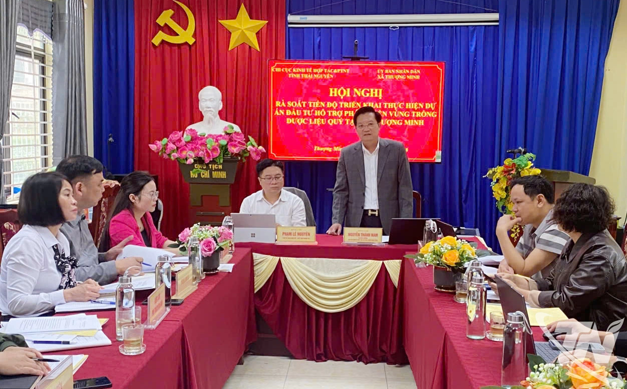 Họp Hội đồng thẩm định Dự án đầu tư hỗ trợ phát triển vùng trồng dược liệu quý