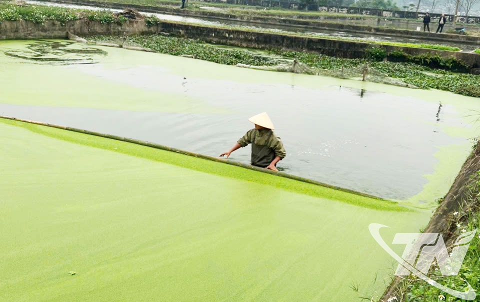 Việc chống r&eacute;t cho thủy sản cũng được ch&uacute; trọng.