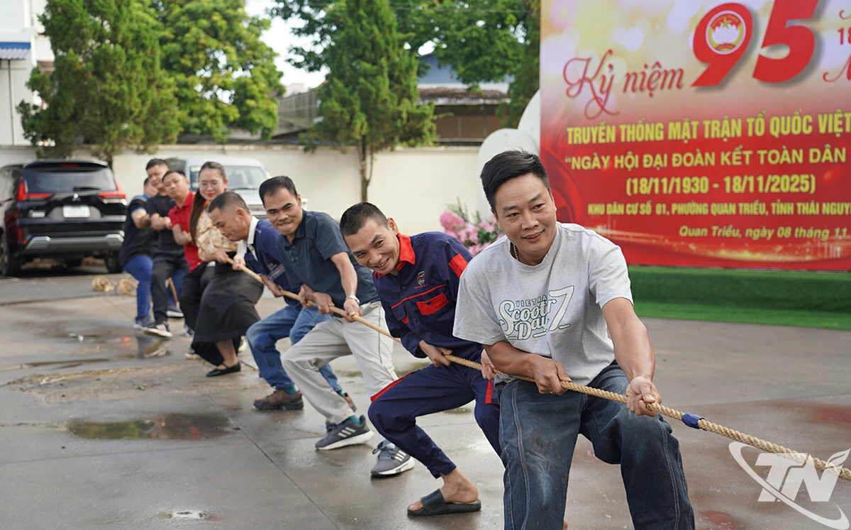 Hoạt động thể thao tổ 