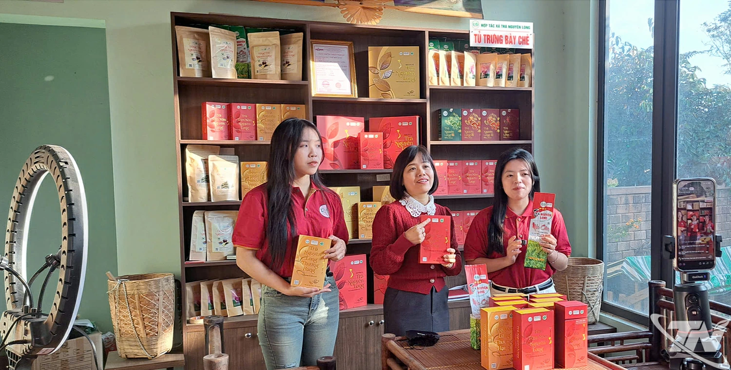 Cùng với bán trà truyền thống, HTX trà Nguyên Long đẩy mạnh khai thác các nền tảng số để quảng bá sản phẩm và nâng cao doanh thu.