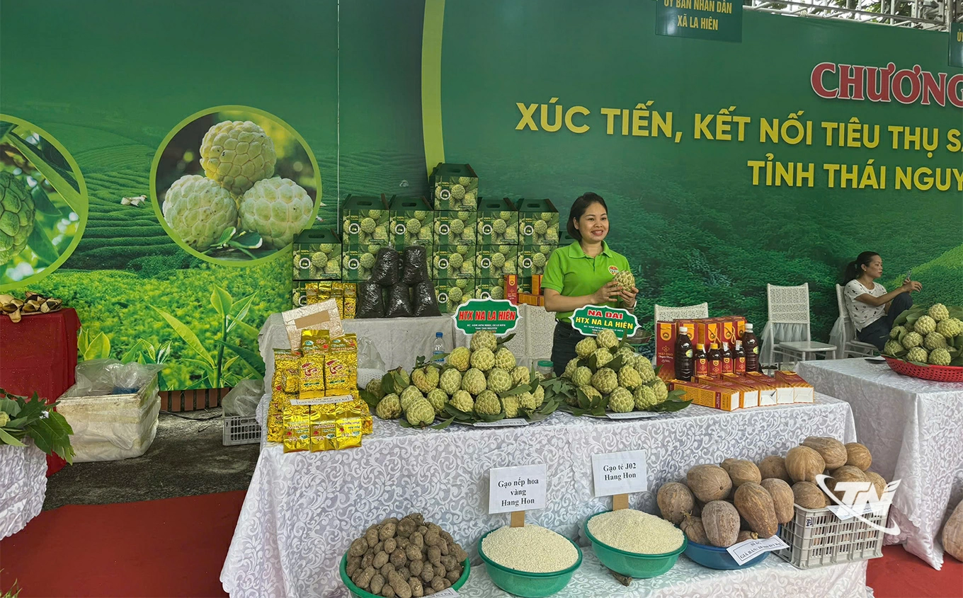 Các cấp, ngành chức năng và xã La Hiên tổ chức xúc tiến thương mại, đưa sản phẩm na đến với mọi miền.