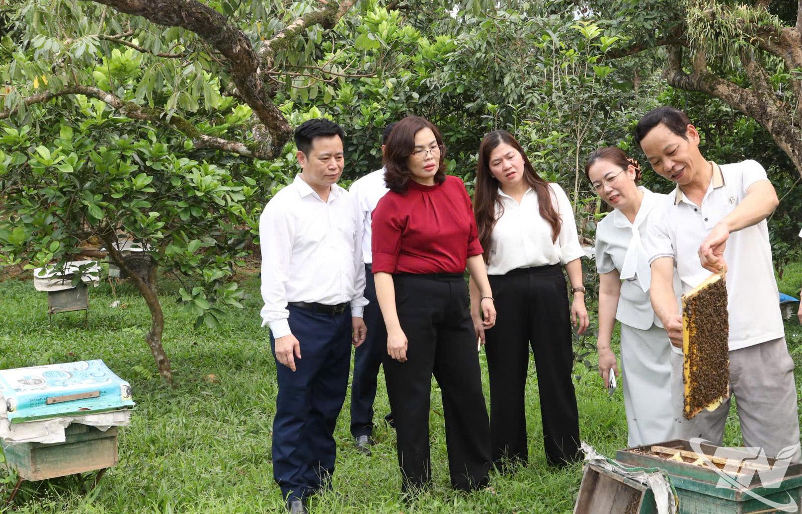Đoàn giám sát đến thăm quan mô hình trồng cây ăn quả, nuôi ong lấy mật tại tổ dân phố Khe Đù.