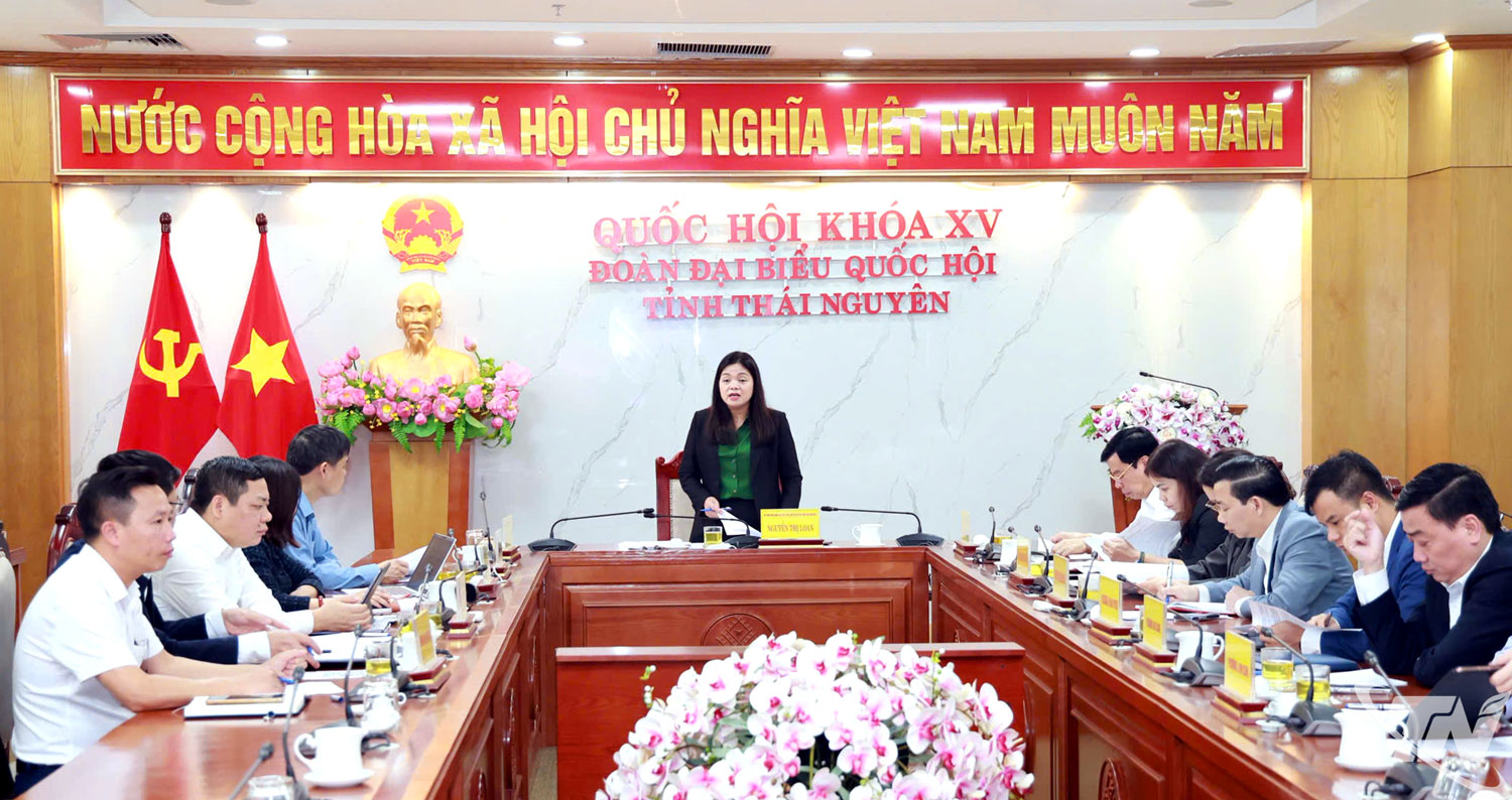 Đồng chí Nguyễn Thị Loan, Phó Chủ tịch UBND tỉnh, chủ trì cuộc họp