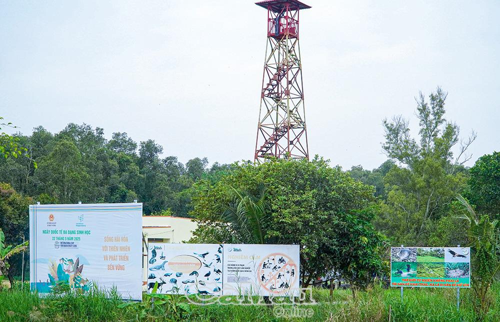 Trong l&acirc;m phần hiện c&oacute; 65 ch&ograve;i canh lửa đ&atilde; được đầu tư ki&ecirc;n cố.