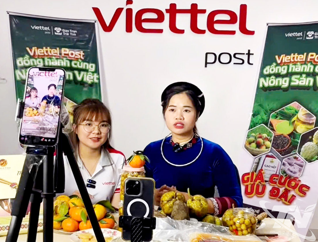 Viettel Post Th&aacute;i Nguy&ecirc;n đồng h&agrave;nh c&ugrave;ng người d&acirc;n đẩy mạnh quảng b&aacute;, ti&ecirc;u thụ n&ocirc;ng sản, sản phẩm OCOP tr&ecirc;n nền tảng số.