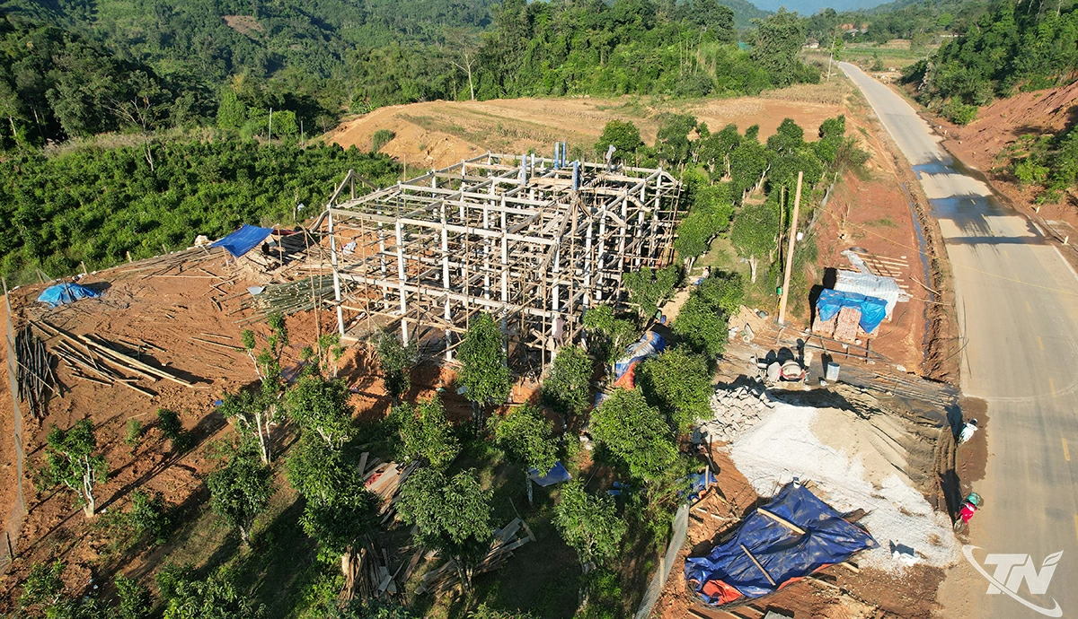 Ngôi nhà sàn kiên cố được xây dựng ngay giữa khu đất bảo tồn nguồn gen quý chè Shan tuyết.