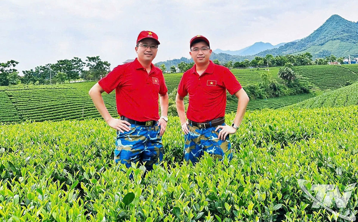 Hai anh em sinh đ&ocirc;i Vũ Văn Lộc v&agrave; Vũ Văn T&agrave;i tr&ecirc;n v&ugrave;ng ch&egrave; qu&ecirc; hương.    &nbsp;