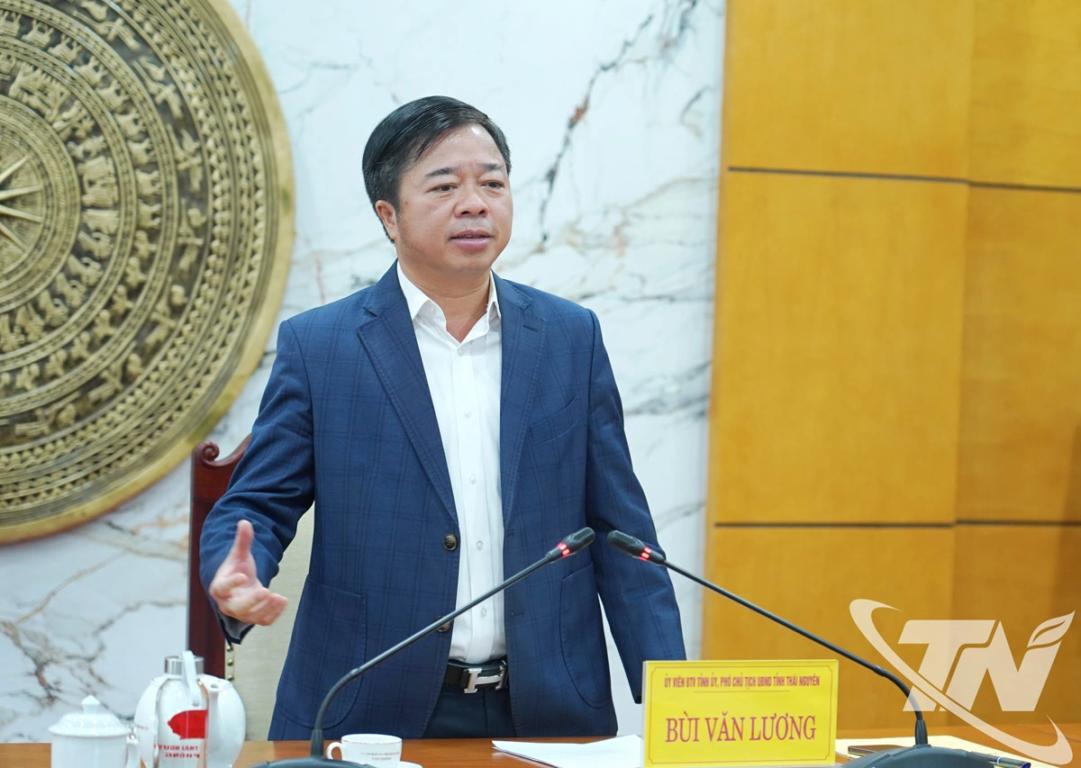 Phó Chủ tịch UBND tỉnh Bùi Văn Lương kết luận cuộc họp.