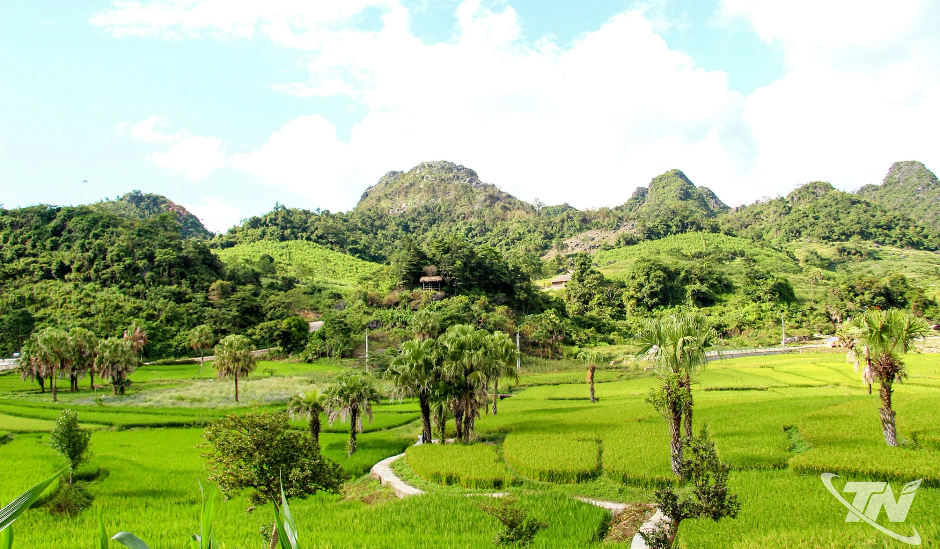 Một góc Bản Tèn, xã Văn Lăng mùa lúa chín.