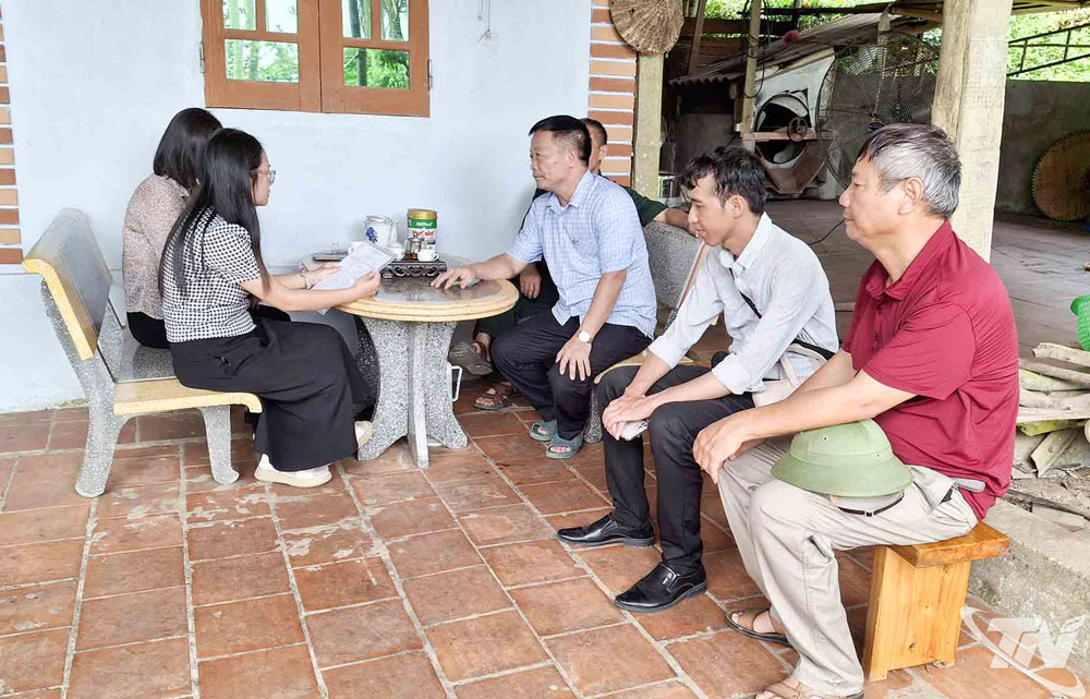 Việc kiểm tra quy trình canh tác chè theo tiêu chuẩn hữu cơ Việt Nam tại Phú Xuyên được thực hiện nghiêm ngặt.