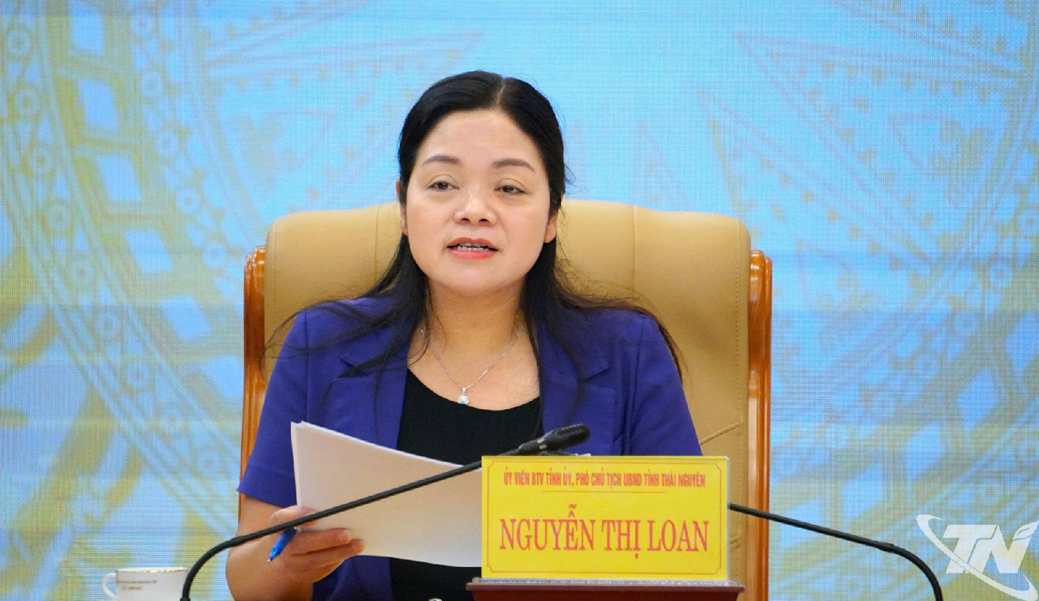 Đồng chí Nguyễn Thị Loan phát biểu tại Hội nghị.