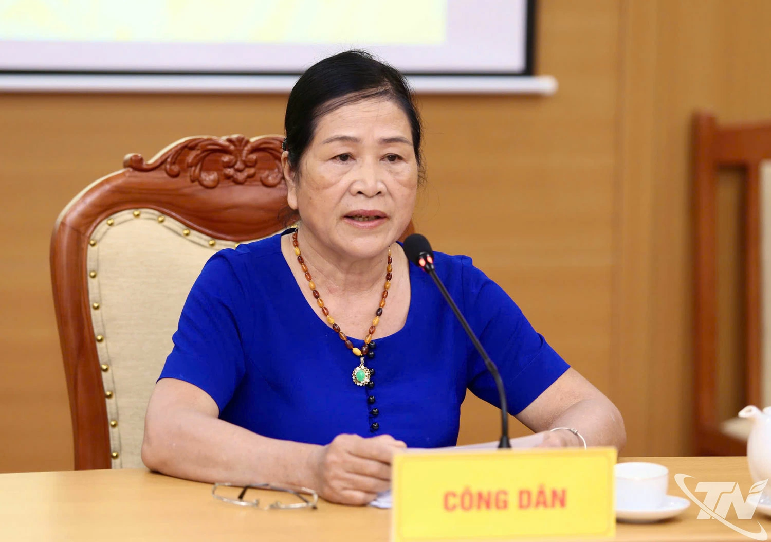 Bà Toàn Thị Yên trình bày tại buổi tiếp công dân.