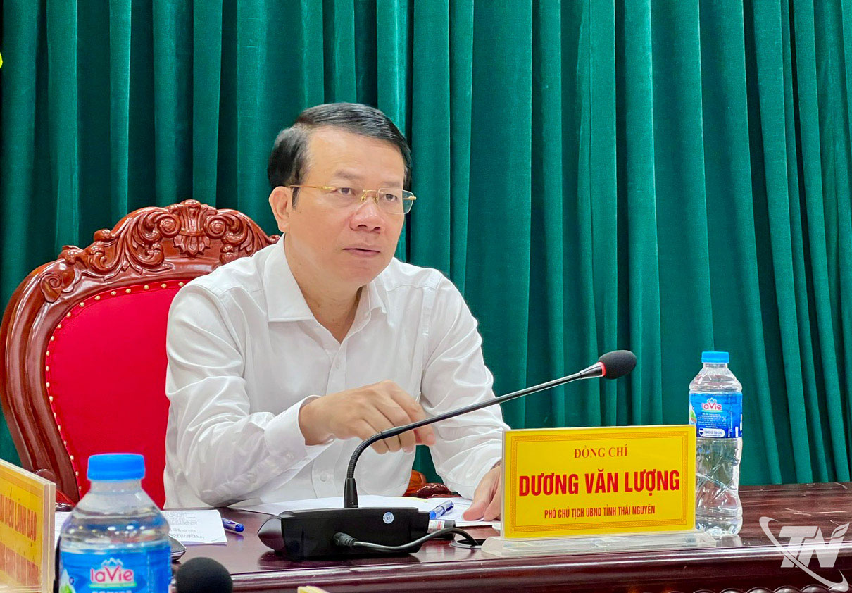Đồng chí Phó Chủ tịch UBND tỉnh Dương Văn Lượng phát biểu kết luận buổi làm việc.