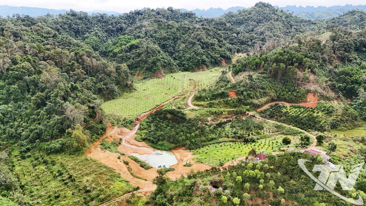 Nhiều x&atilde; ở khu vực ph&iacute;a Bắc của tỉnh c&oacute; tiềm năng, lợi thế lớn để ph&aacute;t triển c&aacute;c loại   c&acirc;y ăn quả c&oacute; m&uacute;i