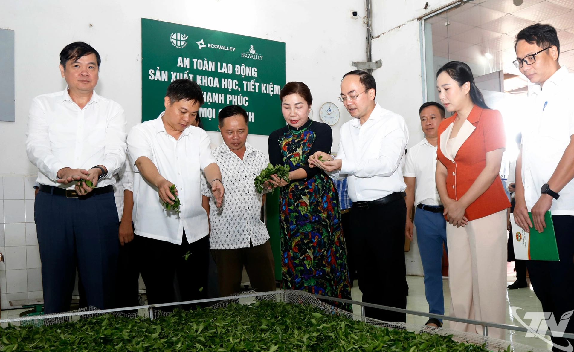 Đồng chí Nguyễn Đăng Bình thăm khu sản xuất của Công ty CP Chè Hà Thái, xã La Bằng.