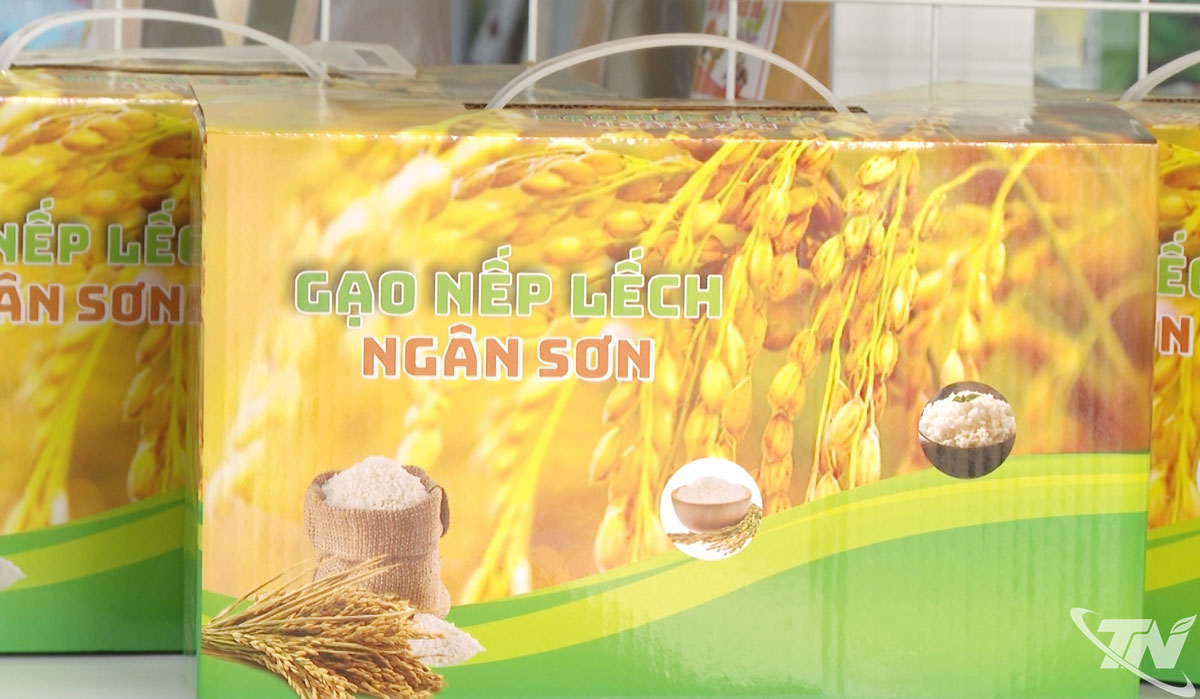 Sản phẩm gạo đặc sản Ngân Sơn nổi tiếng với hương thơm và độ dẻo, thích hợp chế biến bánh.