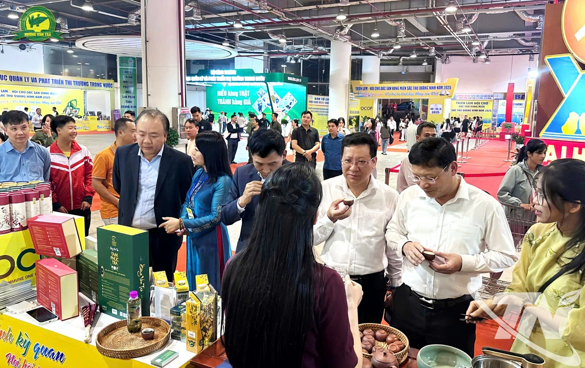 Không gian trưng bày và thưởng trà Thái Nguyên tại Triển lãm - Hội chợ đặc sản vùng miền Sắc thu Quảng Ninh 2025.