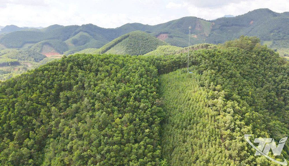 Tỉnh Thái Nguyên sau sáp nhập có tỷ lệ che phủ rừng cao trên toàn quốc (đạt khoảng 60%)