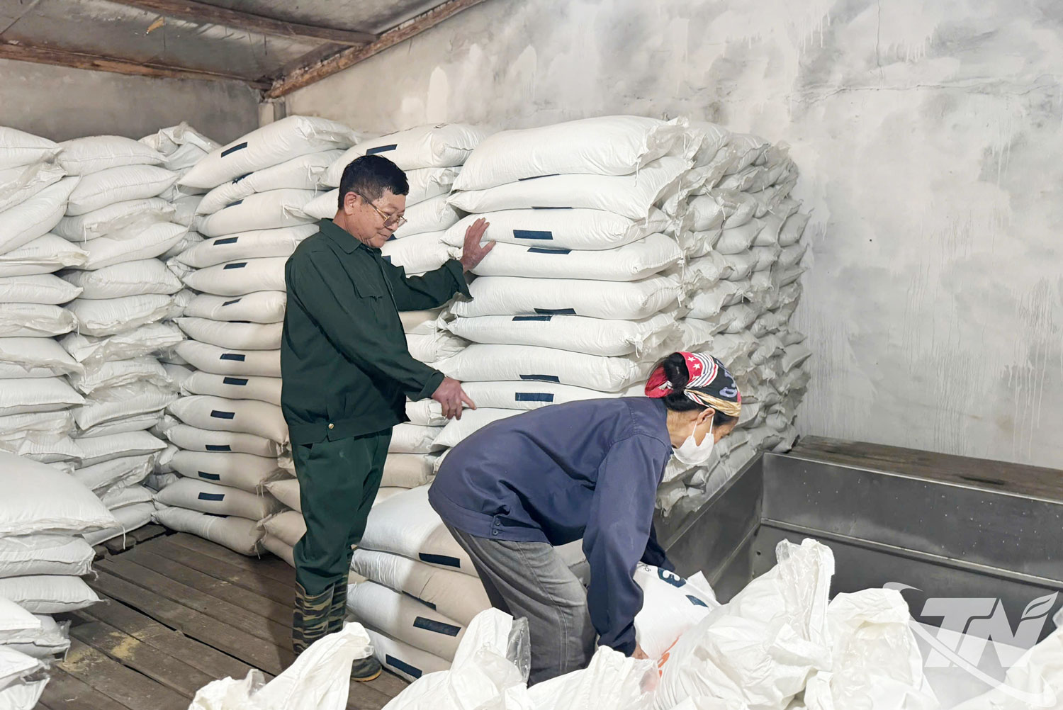 Nhiều trang trại, gia trại chăn nuôi tại Thái Nguyên sử dụng nguồn thức ăn từ các nhà máy sản xuất thức ăn chăn nuôi trong tỉnh.