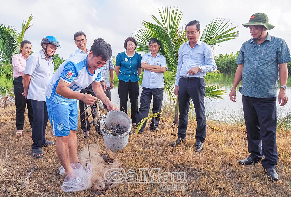 Phó Bí thư Thường trực Tỉnh uỷ Huỳnh Quốc Việt cùng lãnh đạo Sở Nông nghiệp và Môi trường cùng các sở, ngành tham quan mô hình lúa tôm càng xanh tại xã U Minh.