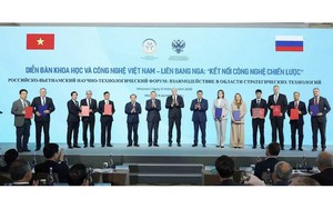 Việt Nam - Nga trao đổi kinh nghiệm về chuyển đổi số- Ảnh 6.
