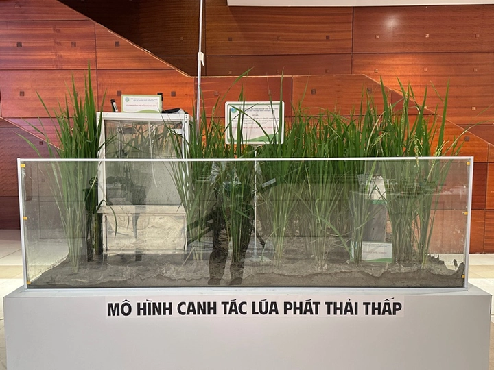 Hơn một vạn liệt sĩ ngành Bưu điện và Khoa học Công nghệ và những hiện vật làm nên dòng chảy lịch sử - Ảnh 8.