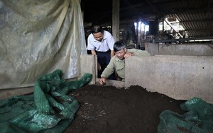 Đắk Lắk: Đưa kỹ thuật VietGAP vào 69 ha cà phê của đồng bào dân tộc thiểu số- Ảnh 5.