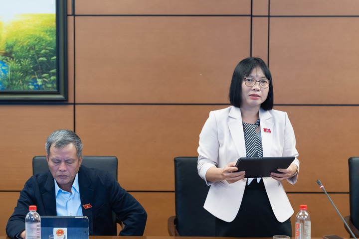 Hoàn thiện Luật Sở hữu trí tuệ để phát huy giá trị 'vàng mềm' của nền kinh tế- Ảnh 2.