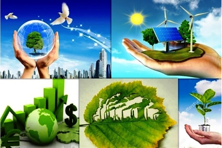 Khoa học và công nghệ: Động lực trung tâm của chuyển đổi xanh - Ảnh 1.